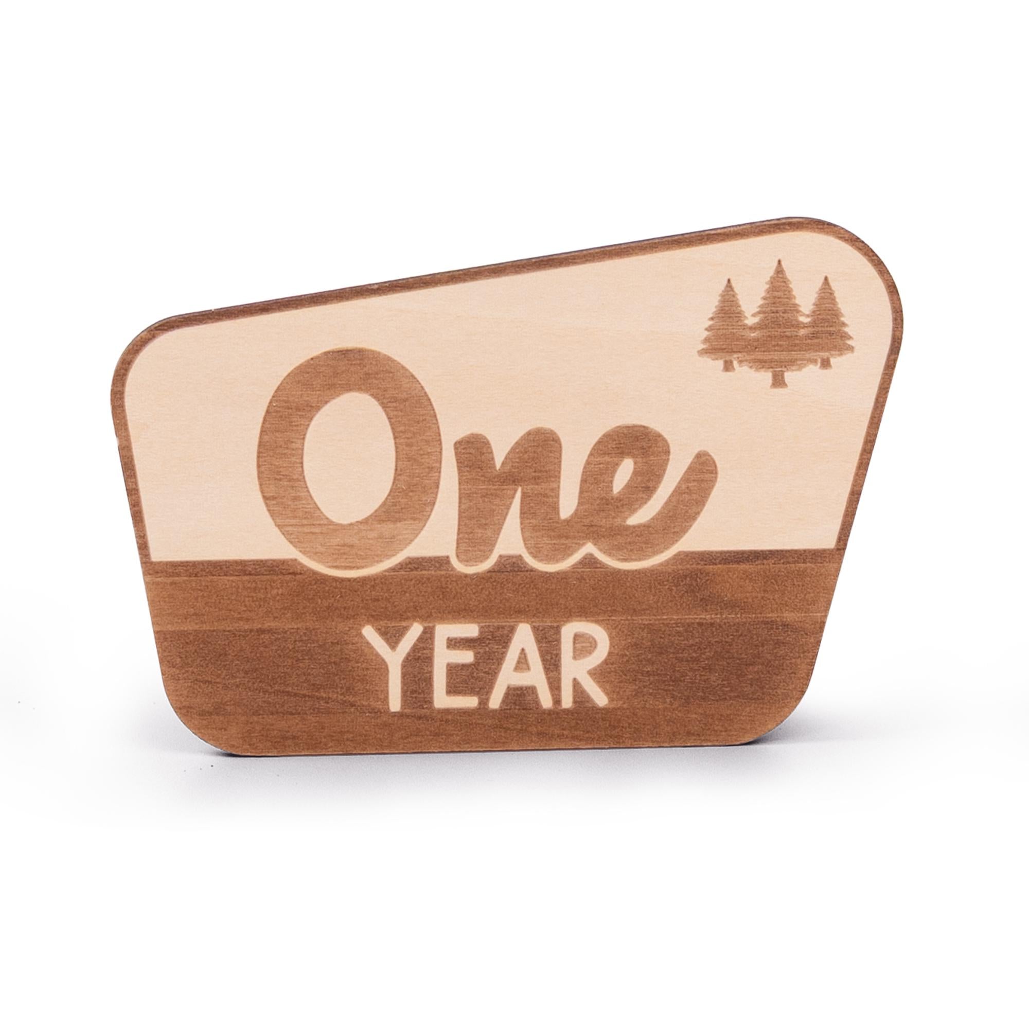National Park Baby Milestone, Nursery National Park Decor, Baby Monthly Milestone, Wood Baby Milestone Cards, National Park Baby Shower
