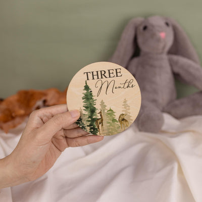 Monthly Milestone Disc For Baby Photos Wooden, Baby Monthly Milestone, Baby Milestone Discs, Newborn Gift, Baby Shower Gift,Baby Photo Props
