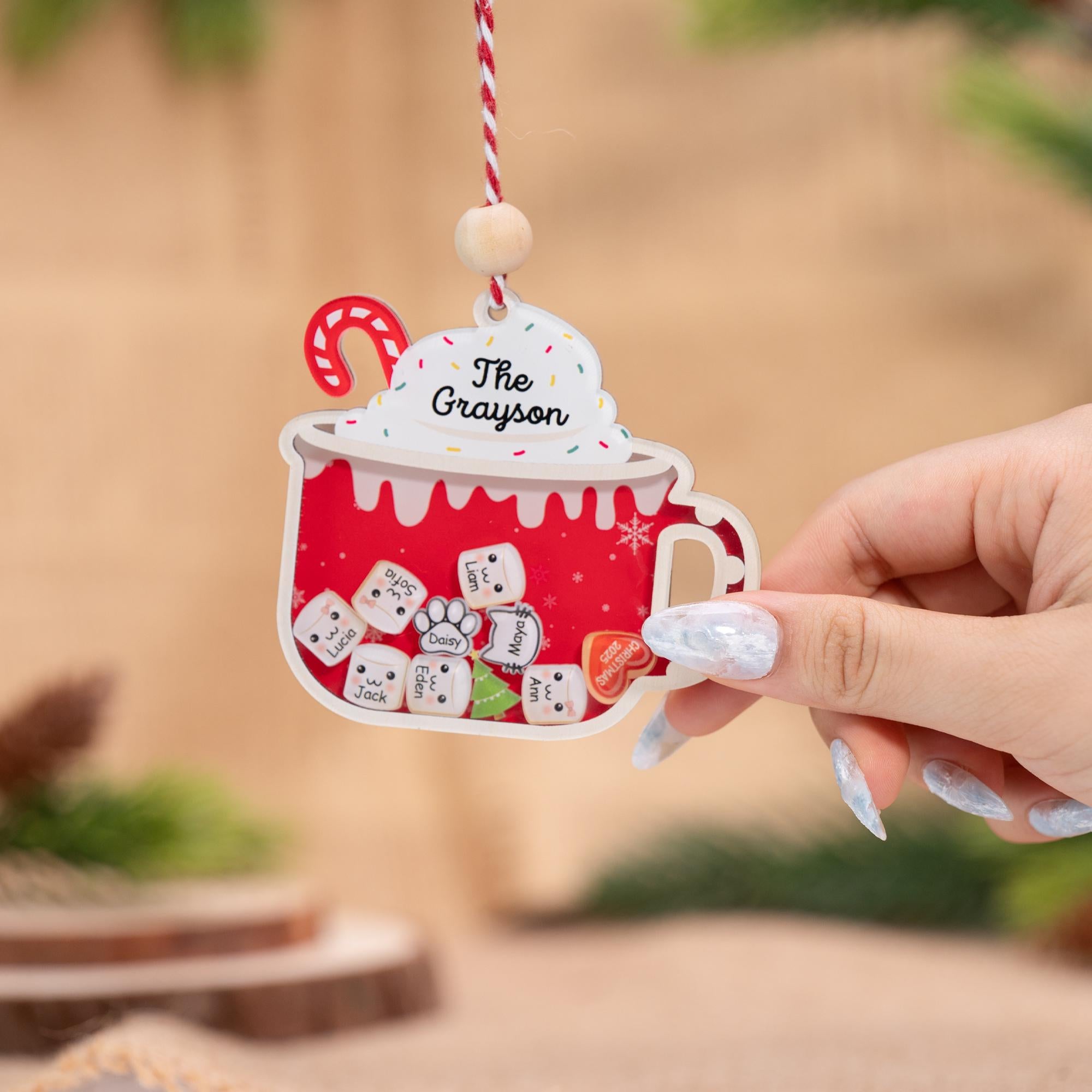 Personalized Family Christmas Ornament, Family Keepsake, Family Christmas Gift, Family Ornament 2025, Holiday Tree Decoration, Custom Family